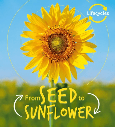 Lifecycles: Seed to Sunflower av Camilla De La Bedoyere