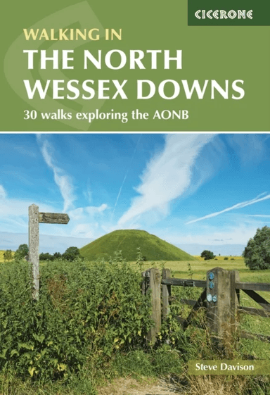 Walking in the North Wessex Downs av Steve Davison