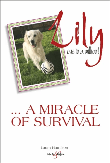 Lily: one in a million av Laura Hamilton