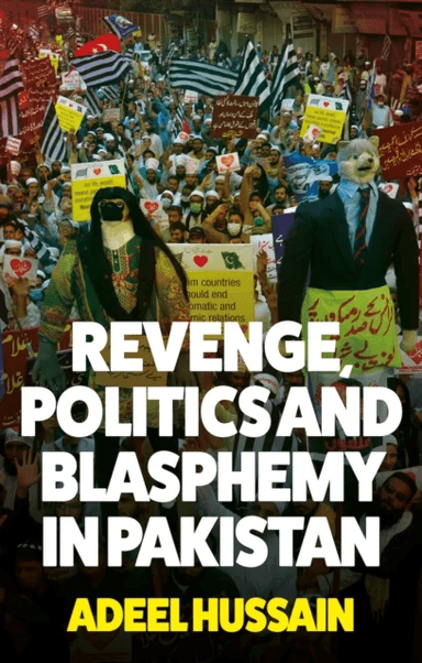 Revenge, Politics and Blasphemy in Pakistan av Adeel Hussain