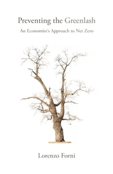 An Economist¿s Approach to Net Zero av Professor Lorenzo Forni