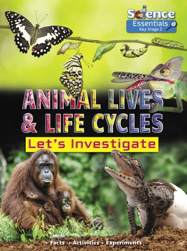 Animal Lives and Life Cycles: Let's Investigate, Facts, Activities, Experiments av Ruth Owen