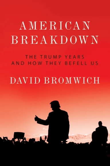 American Breakdown av David Bromwich