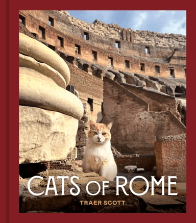 Cats of Rome av Traer Scott