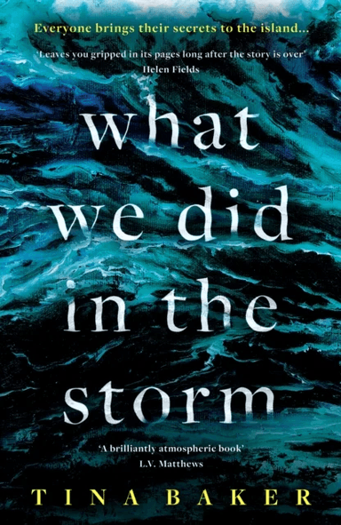 What We Did In The Storm av Tina Baker