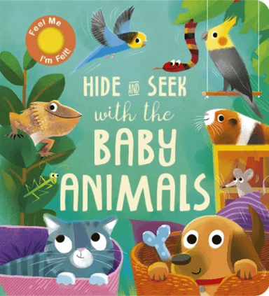 Hide and Seek with the Baby Animals av Molly Littleboy