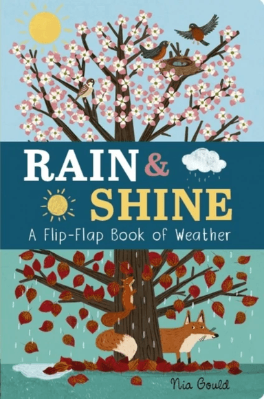 Rain &amp; Shine: A Flip-Flap Book of Weather av Molly Littleboy