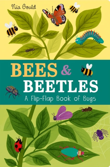 Bees &amp; Beetles: A Flip-Flap Book of Bugs av Molly Littleboy