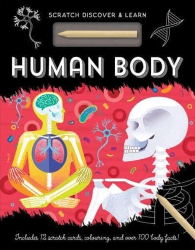HUMAN BODY av Susan Mayes