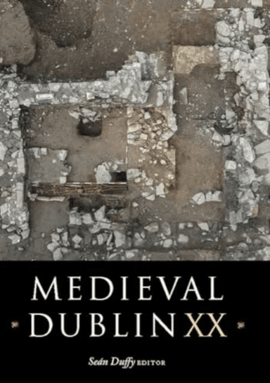 Medieval Dublin XX