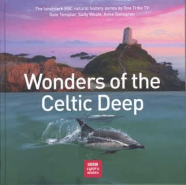 Wonders of the Celtic Deep av Dale Templar, Sally Weale, Anne Gallagher