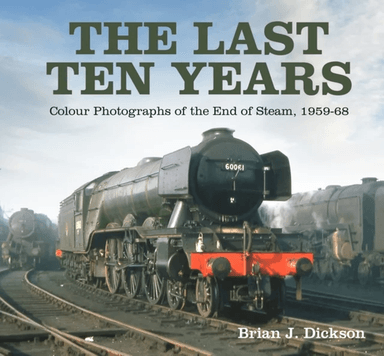The Last Ten Years av Brian J. Dickson