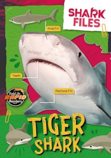 Tiger Shark av Robin Twiddy
