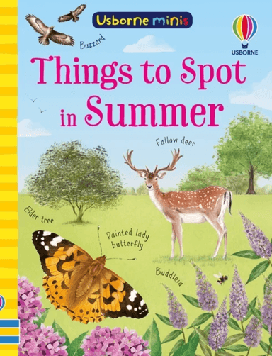 Things to Spot in Summer av Kate Nolan, Lara Bryan