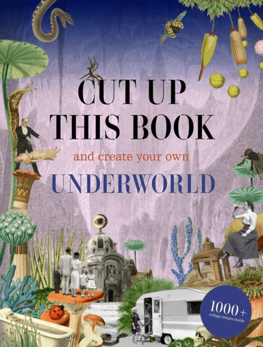 Cut Up This Book and Create Your Own Underworld av Eliza Scott