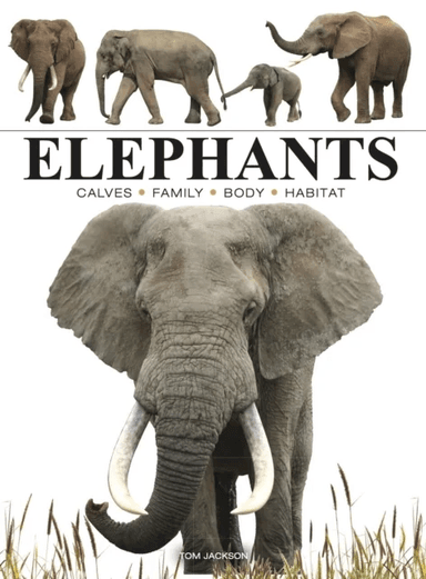Elephants av Tom Jackson