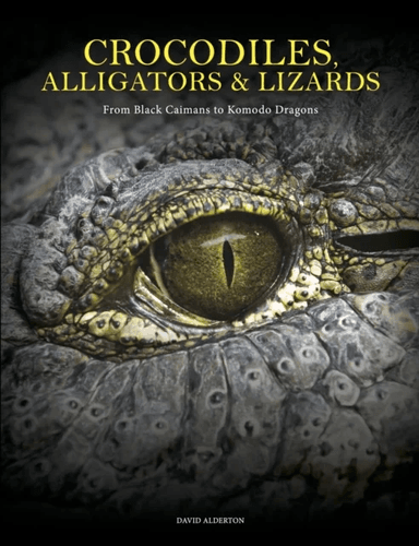 Crocodiles, Alligators &amp; Lizards av David Alderton