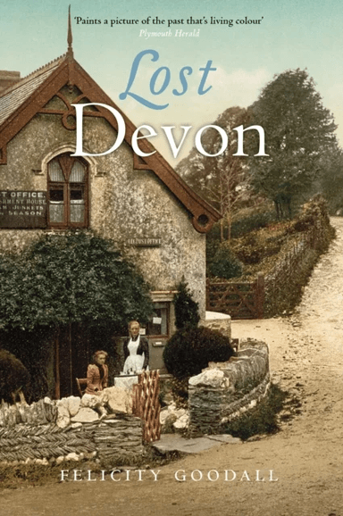 Lost Devon av Felicity Goodall