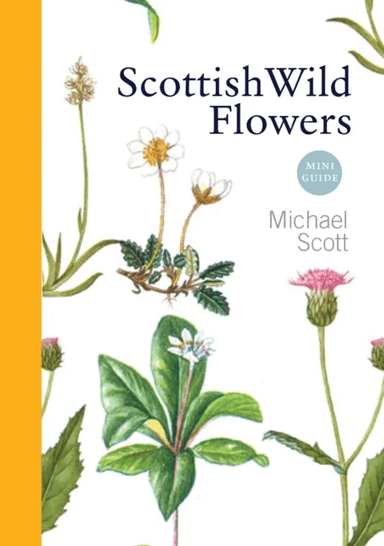 Scottish Wild Flowers av Michael Scott