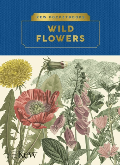 Kew Pocketbooks: Wildflowers av Ed Ikin