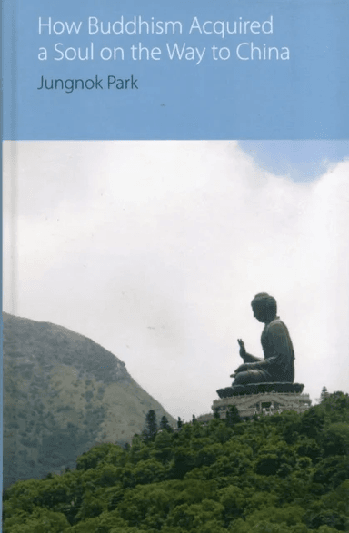 How Buddhism Acquired a Soul on the Way to China av Jungnok Park