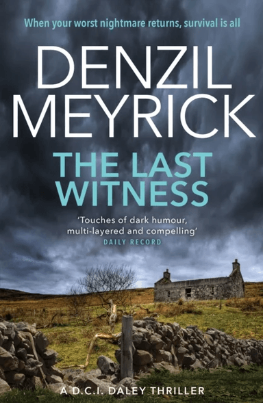 The Last Witness av Denzil Meyrick