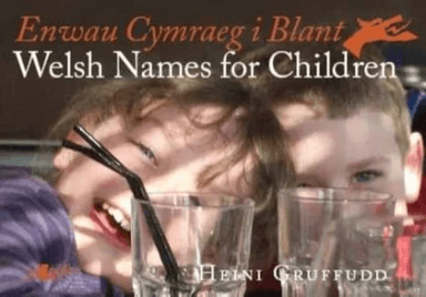 Enwau Cymraeg i Blant/Welsh Names for Children av Heini Gruffudd