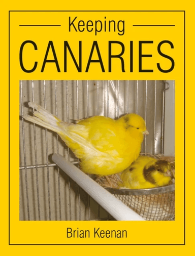 Keeping Canaries av Brian Keenan