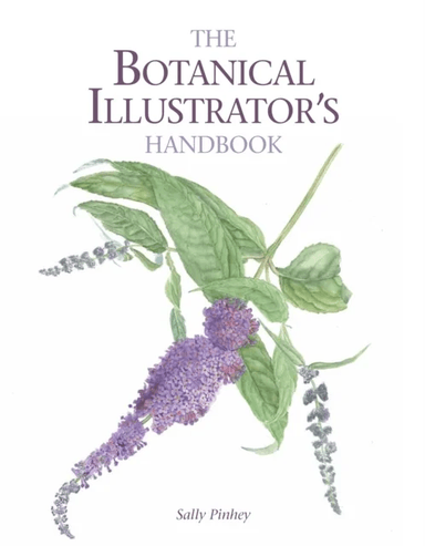 The Botanical Illustrator's Handbook av Sally Pinhey