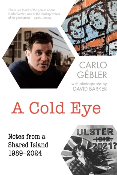 A Cold Eye av Carlo Gebler