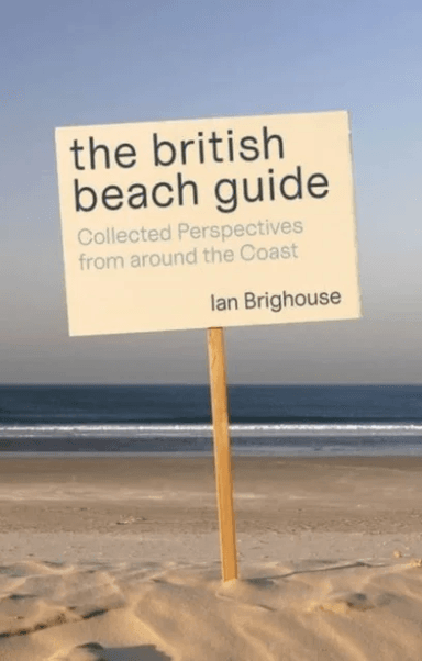 The British Beach Guide av Ian Brighouse