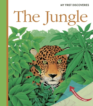 The Jungle av Rene Mettler