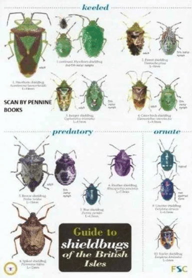 Guide to Shieldbugs of the British Isles av Bernard Nau
