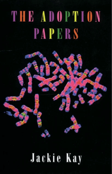 The Adoption Papers av Jackie Kay
