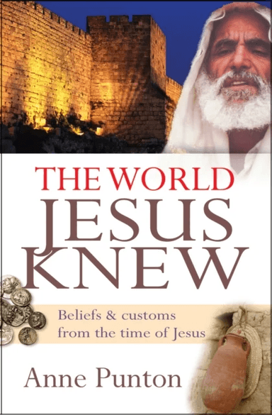 The World Jesus Knew av Anne Punton