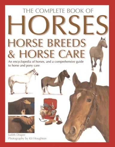 Complete Horse Book av Judith Draper