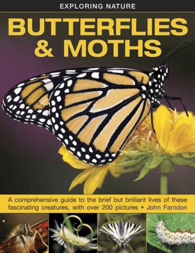 Exploring Nature: Butterflies &amp; Moths av Farndon John
