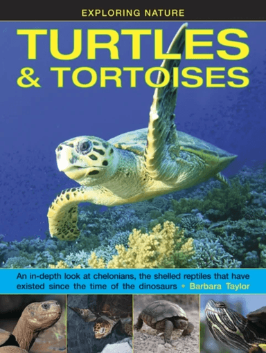 Exploring Nature: Turtles &amp; Tortoises av Taylor Barbara