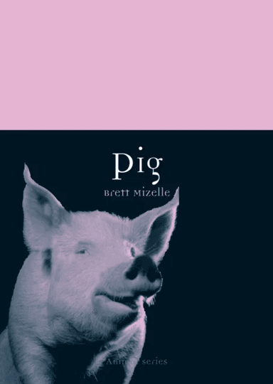Pig av Brett Mizelle