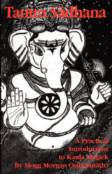 Tantra Sadhana av Mogg Morgan