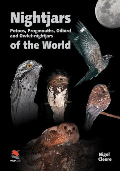 Nightjars, Potoos, Frogmouths, Oilbird, and Owlet-nightjars of the World av Nigel Cleere