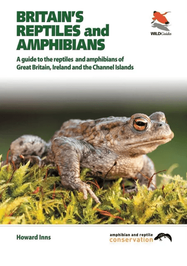 Britain`s Reptiles and Amphibians av Howard Inns, Chris Packham