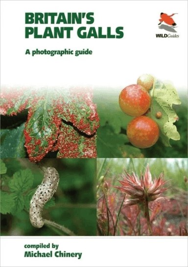 Britain`s Plant Galls - A Photographic Guide av Michael Chinery