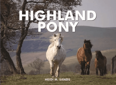 Spirit of the Highland Pony av Heidi M. Sands