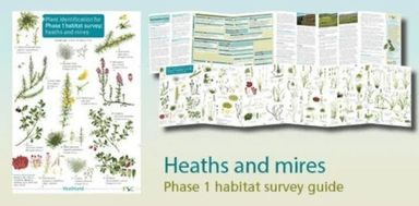 Plant identification for Phase 1 habitat survey: heaths and meres av Hilary Wallace, Mark Duffell