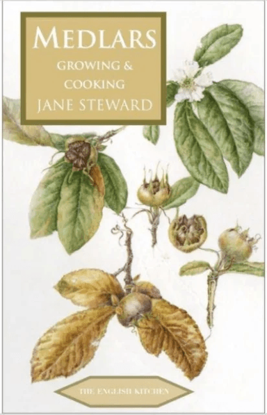 Medlars av Jane Steward