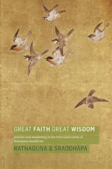 Great Faith, Great Wisdom av Ratnaguna Hennessey