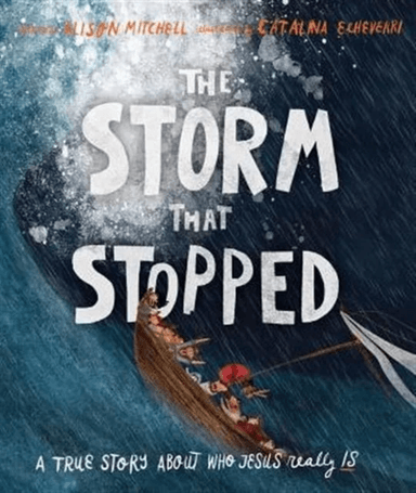 The Storm That Stopped Storybook av Alison Mitchell