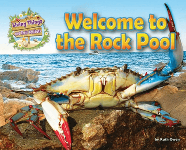Welcome to the Rock Pool av Ruth Owen
