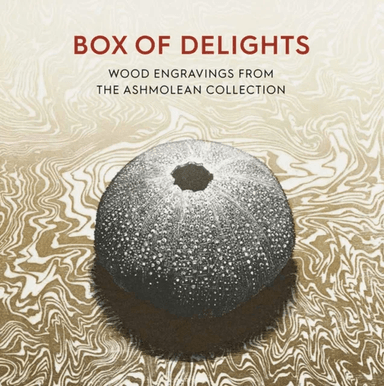 Box of Delights av Anne Desmet